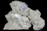 Purple/Gray Fluorite Cluster - Marblehead Quarry Ohio #81190-2